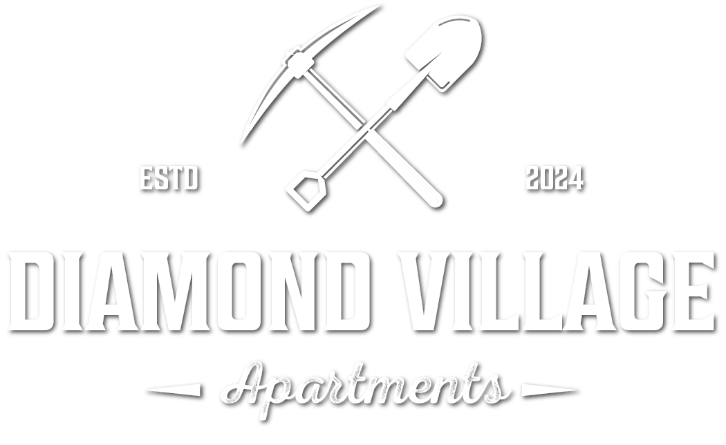 the evolution of the diamond village logo